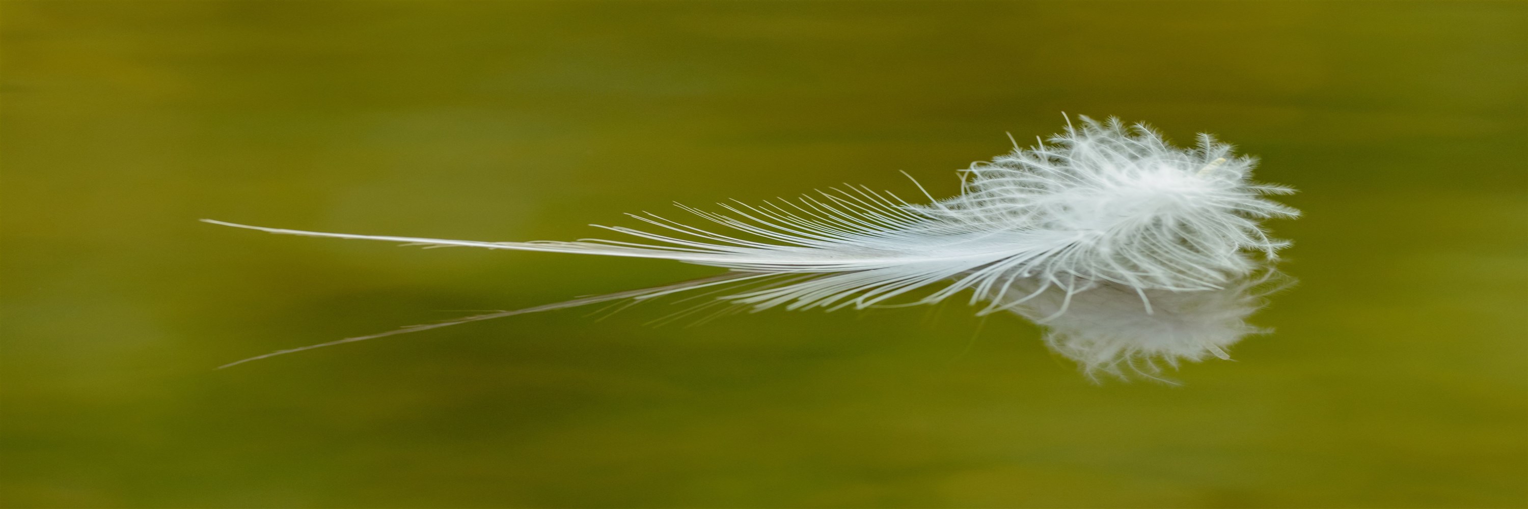 Gentleness and Self-Control